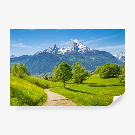 Wall mural serene alpine meadow with mountain peaks • Wallissimo®