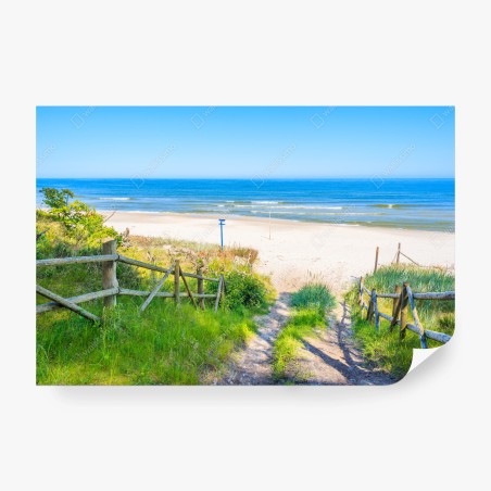 Wall mural path to Baltic Sea beach • Wallissimo®