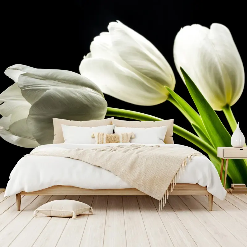 Wall mural elegant white tulips on black background ⁕ Wallissimo® Wall mural elegant white tulips on black background ⁕ Wallissimo®