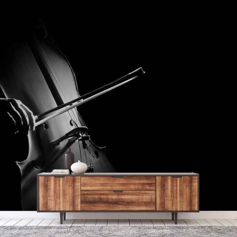 Wall mural elegant cello in monochrome