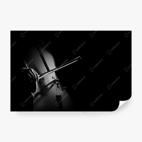 Wall mural elegant cello in monochrome • Wallissimo®