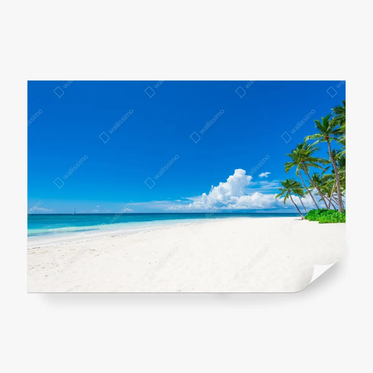 Wall mural tropical paradise beach with palm trees • Wallissimo®