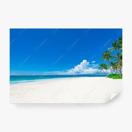 Wall mural tropical paradise beach with palm trees • Wallissimo®