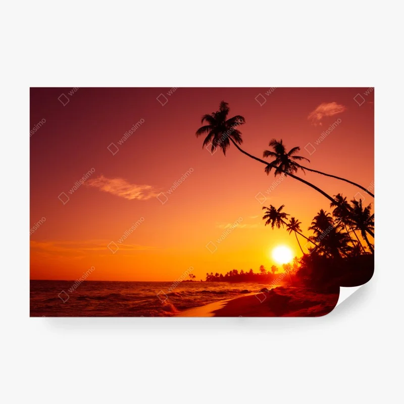 Wall mural tropical sunset beach silhouette
