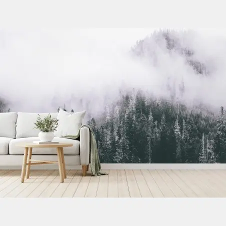 Wall mural misty evergreen forest in fog • Wallissimo®