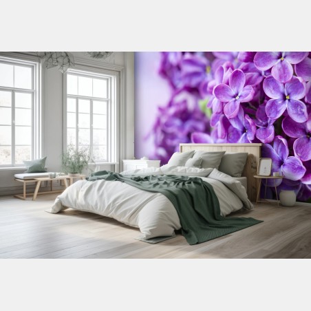 Wall mural purple lilac blossoms close-up • Wallissimo®