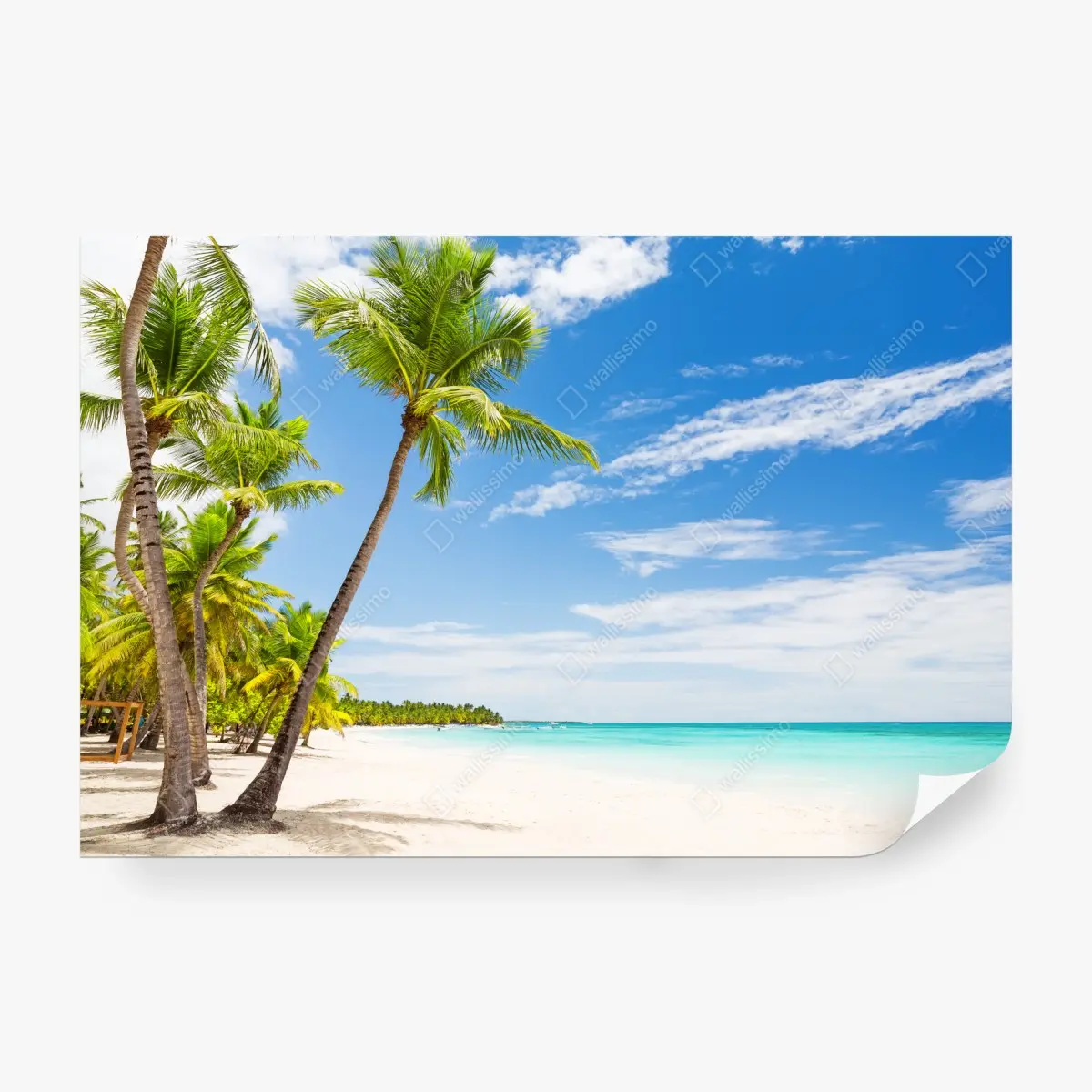 Wall mural palm-fringed beach in Punta Cana ⁕ Wallissimo®