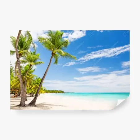 Wall mural palm-fringed beach in Punta Cana • Wallissimo®