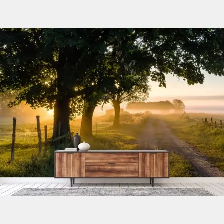 Wall mural sunlit country lane at dawn • Wallissimo®
