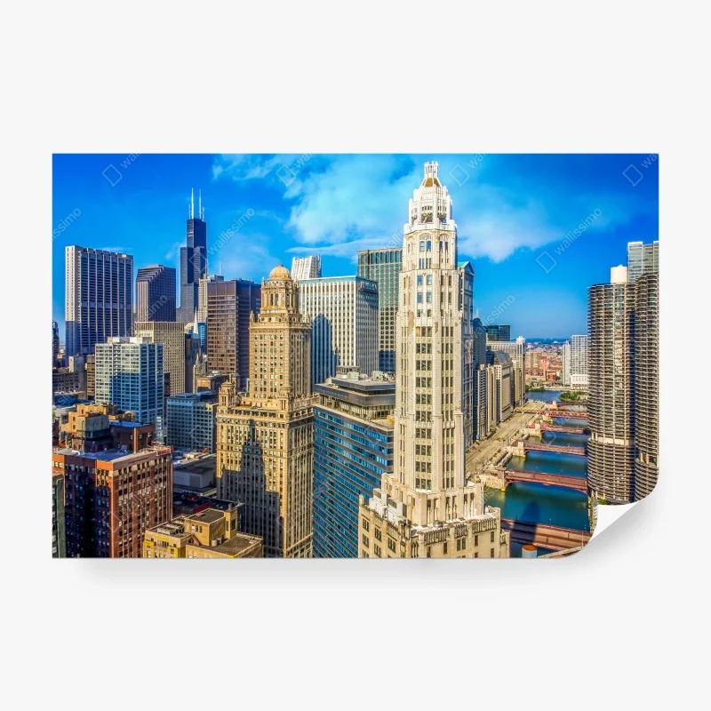 Wall mural Chicago skyline over the river