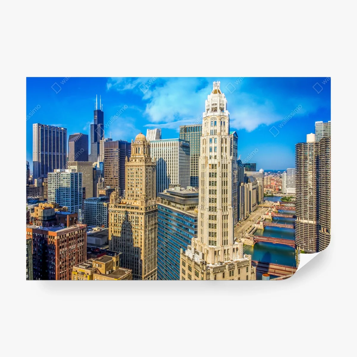 Wall mural Chicago skyline over the river ⁕ Wallissimo®