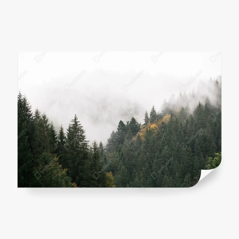 Wall mural misty mountain forest with fog