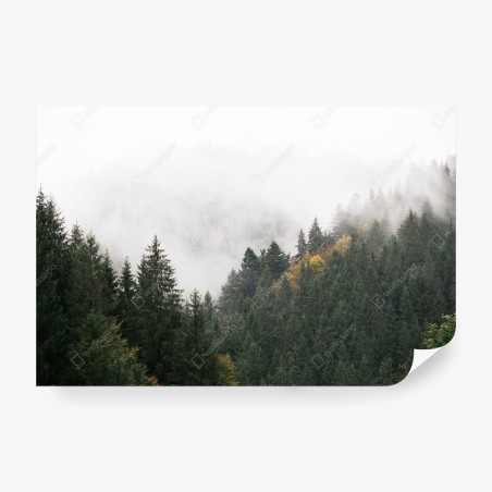 Wall mural misty mountain forest with fog • Wallissimo®