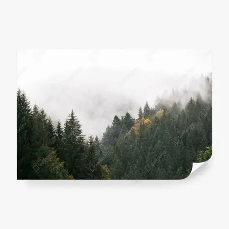 Wall mural misty mountain forest with fog • Wallissimo®