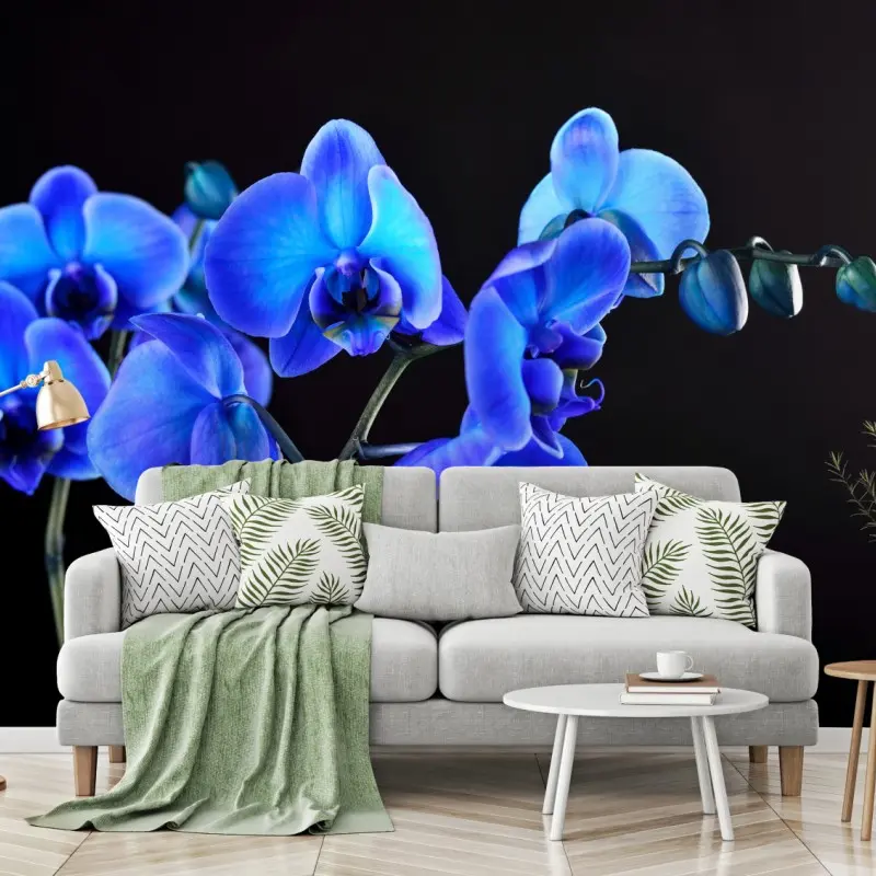 Wall mural vibrant blue orchid on black background