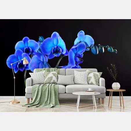 Wall mural vibrant blue orchid on black background • Wallissimo®