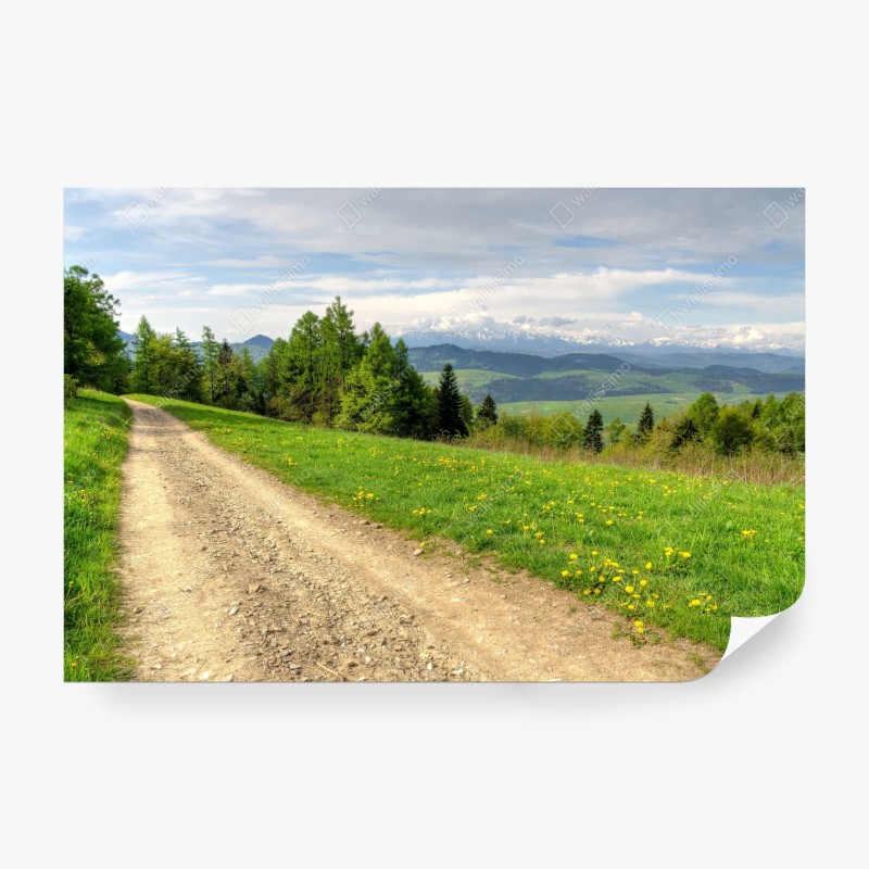 Wall mural Gorce Mountains spring trail