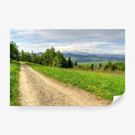 Wall mural Gorce Mountains spring trail • Wallissimo®