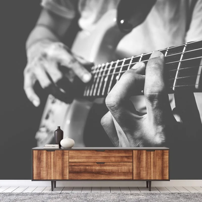 Wall mural monochrome guitar close-up
