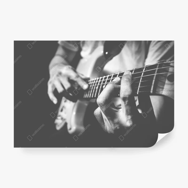 Wall mural monochrome guitar close-up