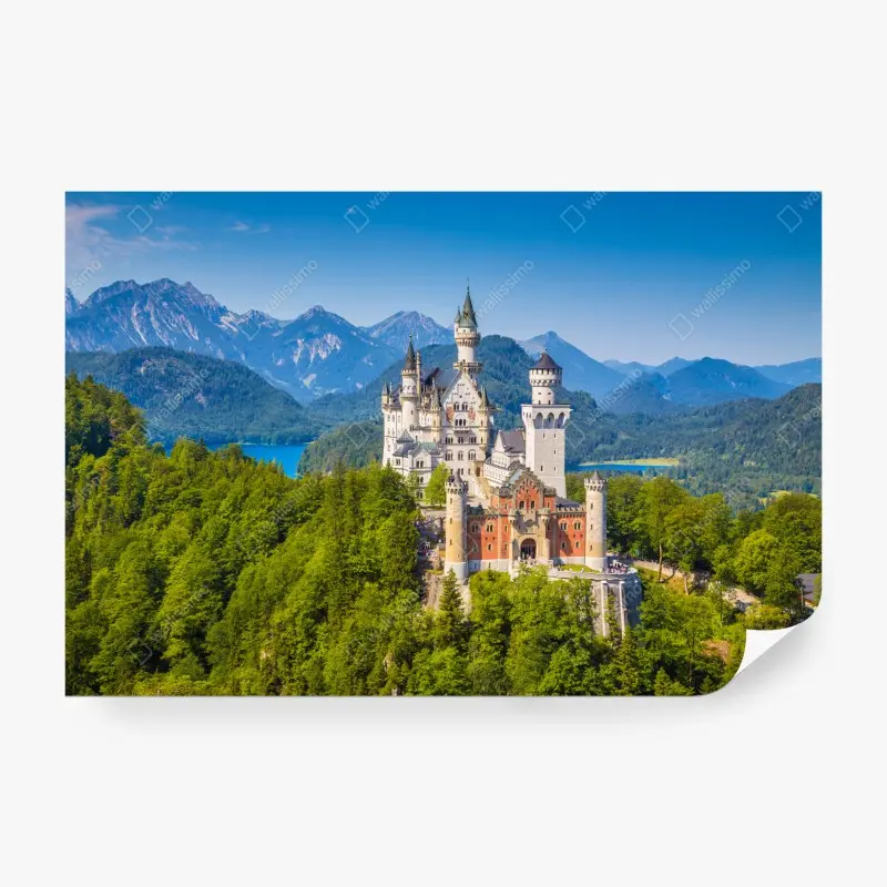 Wall mural Neuschwanstein castle in alpine landscape