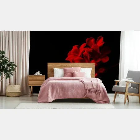 Wall mural red plumeria bloom on black background • Wallissimo®