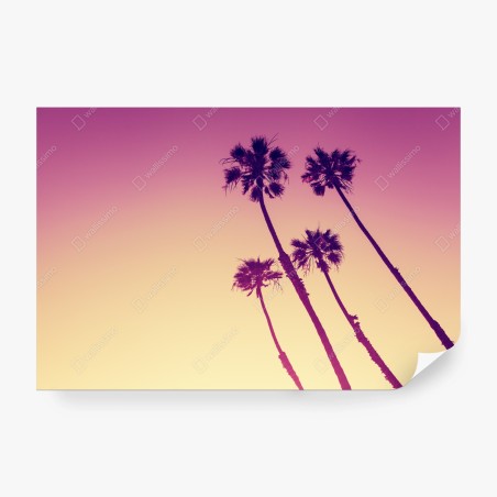 Wall mural California palms at Sunset Cliffs • Wallissimo®