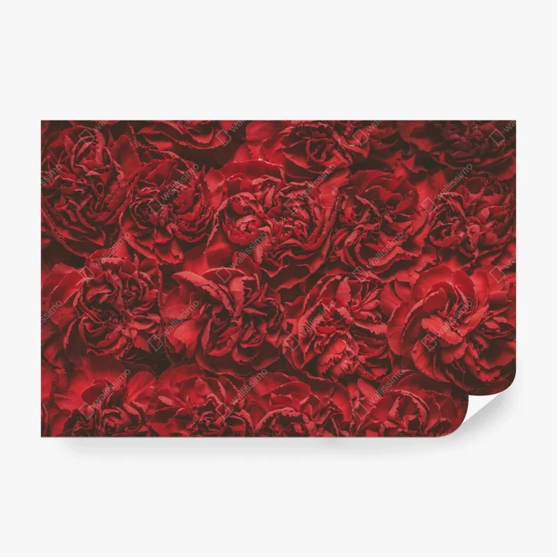 Wall mural vintage red carnation floral pattern