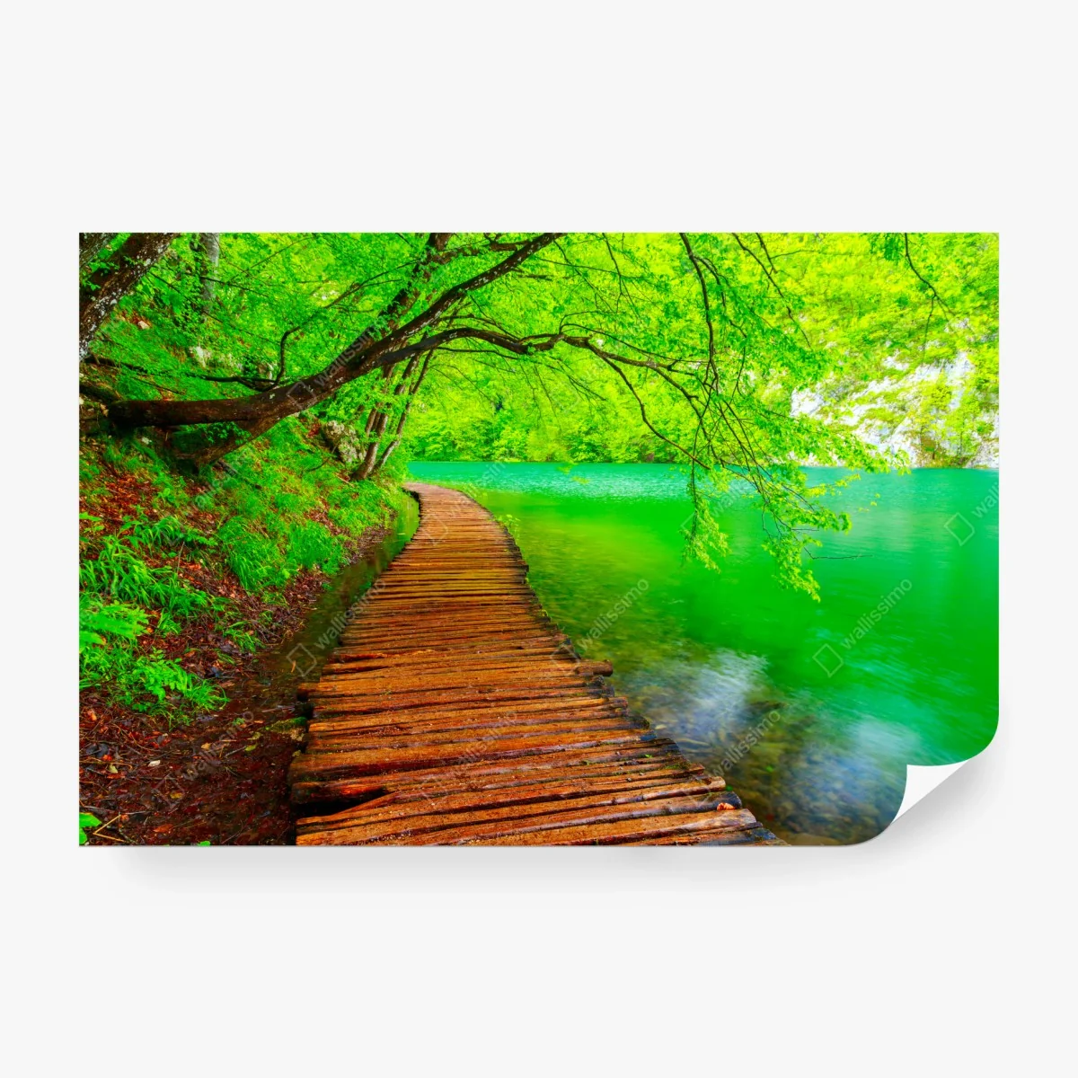Wall mural serene green lake boardwalk • Wallissimo® Wall mural serene green lake boardwalk • Wallissimo®