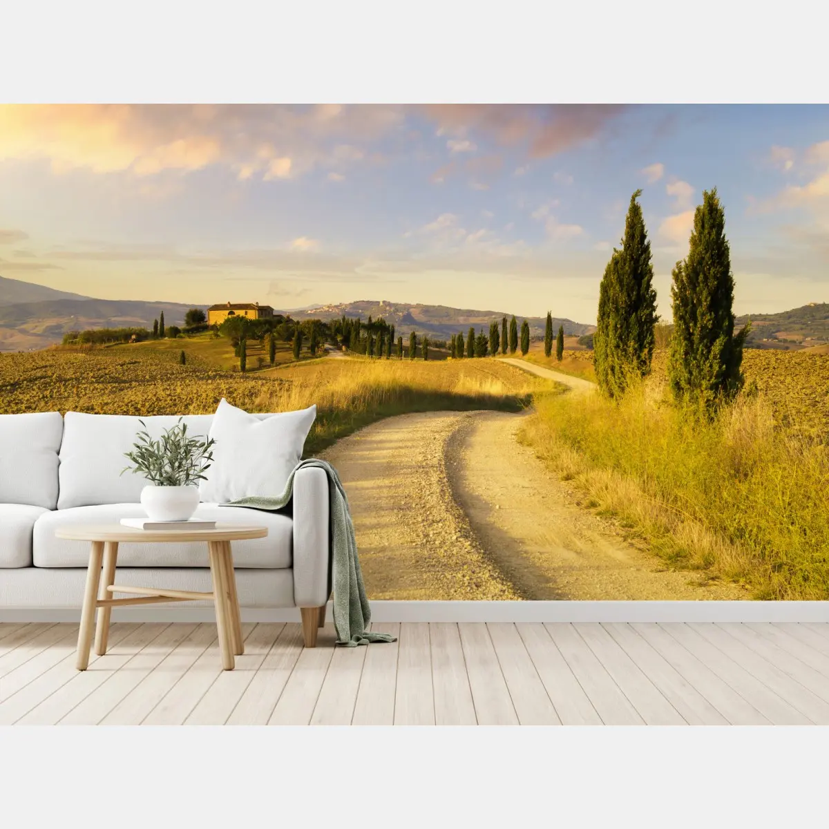 Wall mural golden country road through cypress trees • Wallissimo®