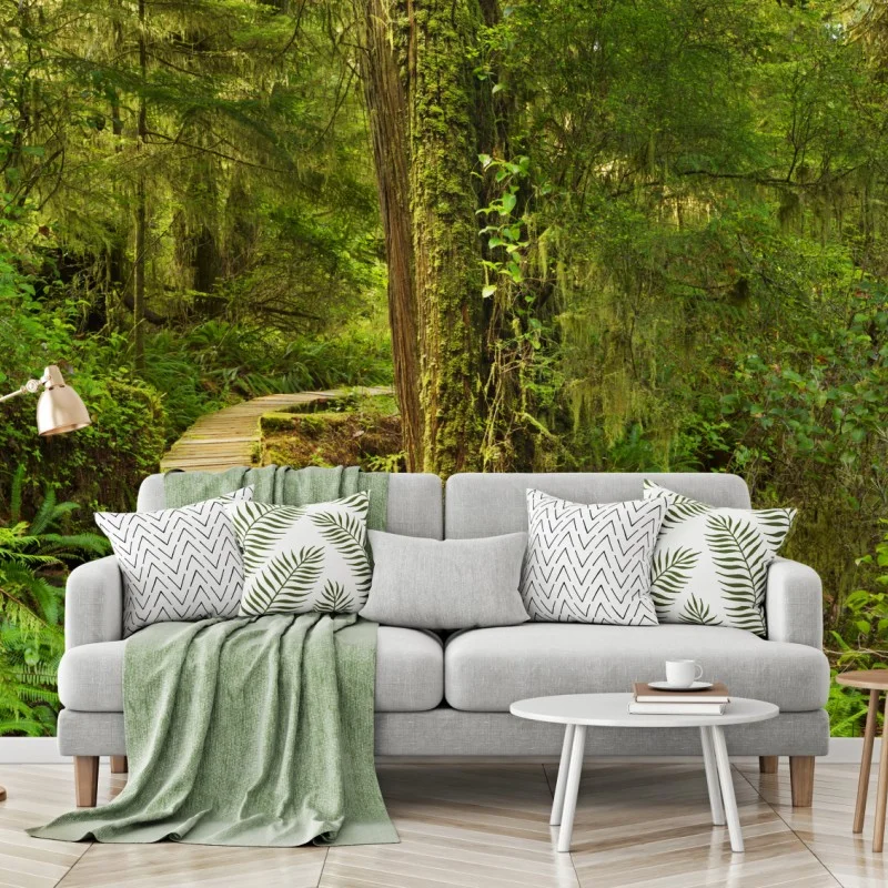 Wall mural Pacific Rim rainforest boardwalk