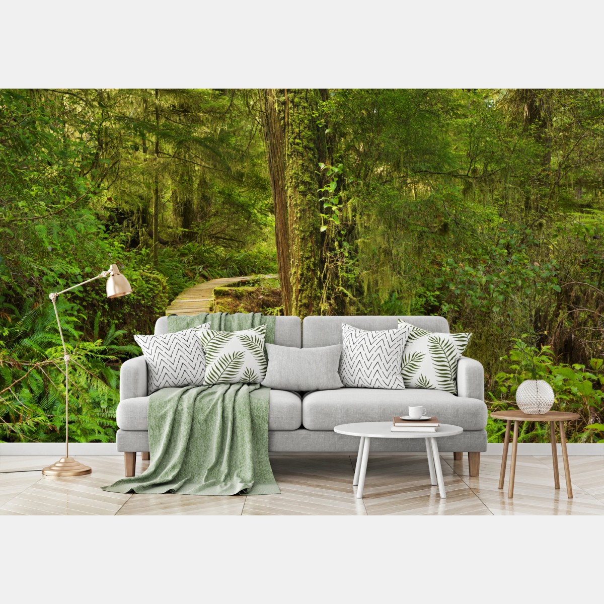 Wall mural Pacific Rim rainforest boardwalk • Wallissimo®
