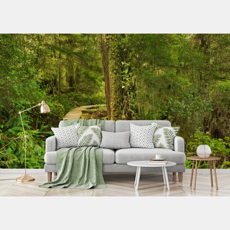 Wall mural Pacific Rim rainforest boardwalk • Wallissimo®