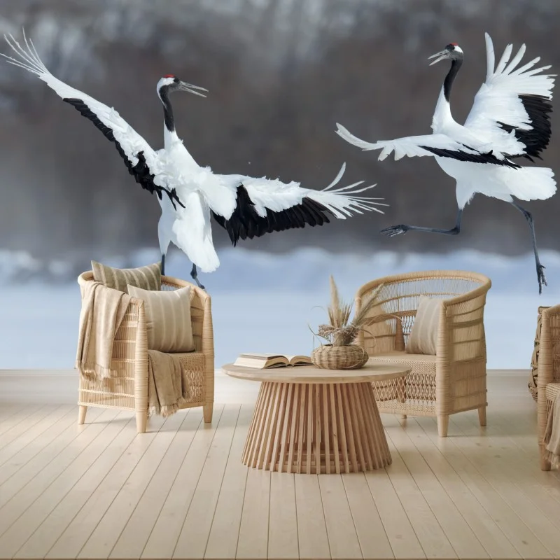Wall mural dancing red-crowned cranes in snow, Hokkaido