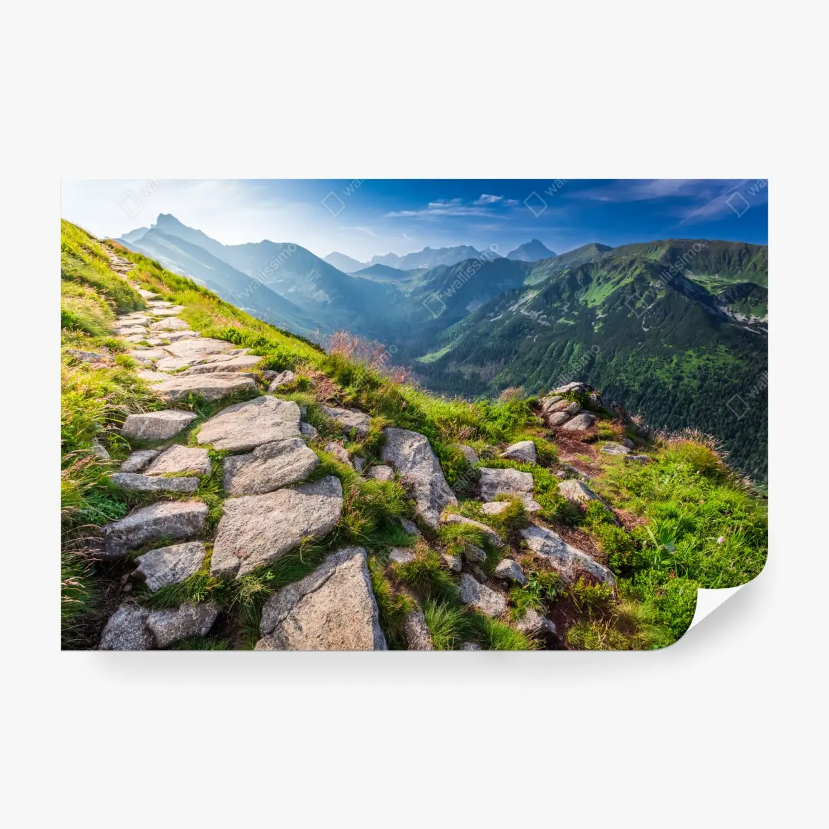 Wall mural sunrise over the Tatras mountain trail • Wallissimo®