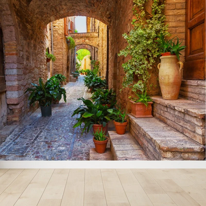 Wall mural sunlit alley with potted plants in Spello