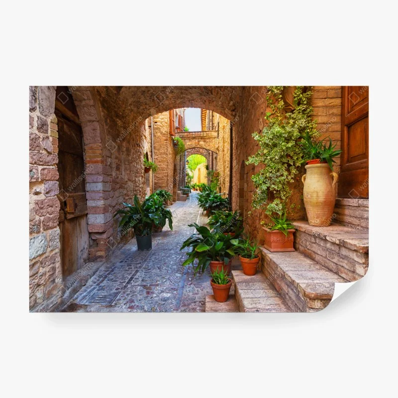 Wall mural sunlit alley with potted plants in Spello