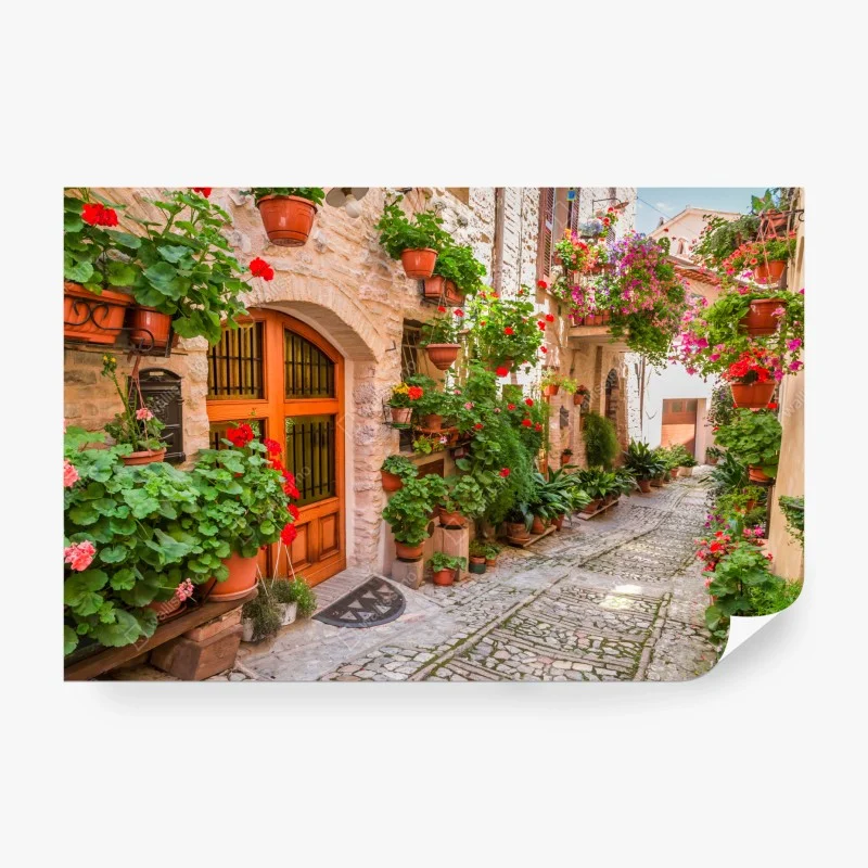 Wall mural sunny Italian alley with flowering pots