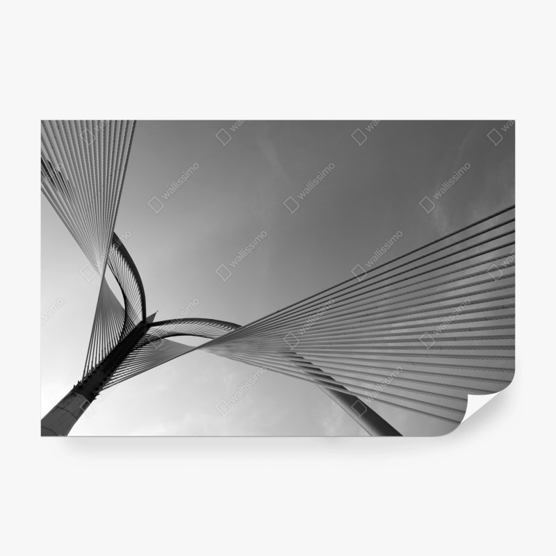 Wall mural monochrome cable bridge lines