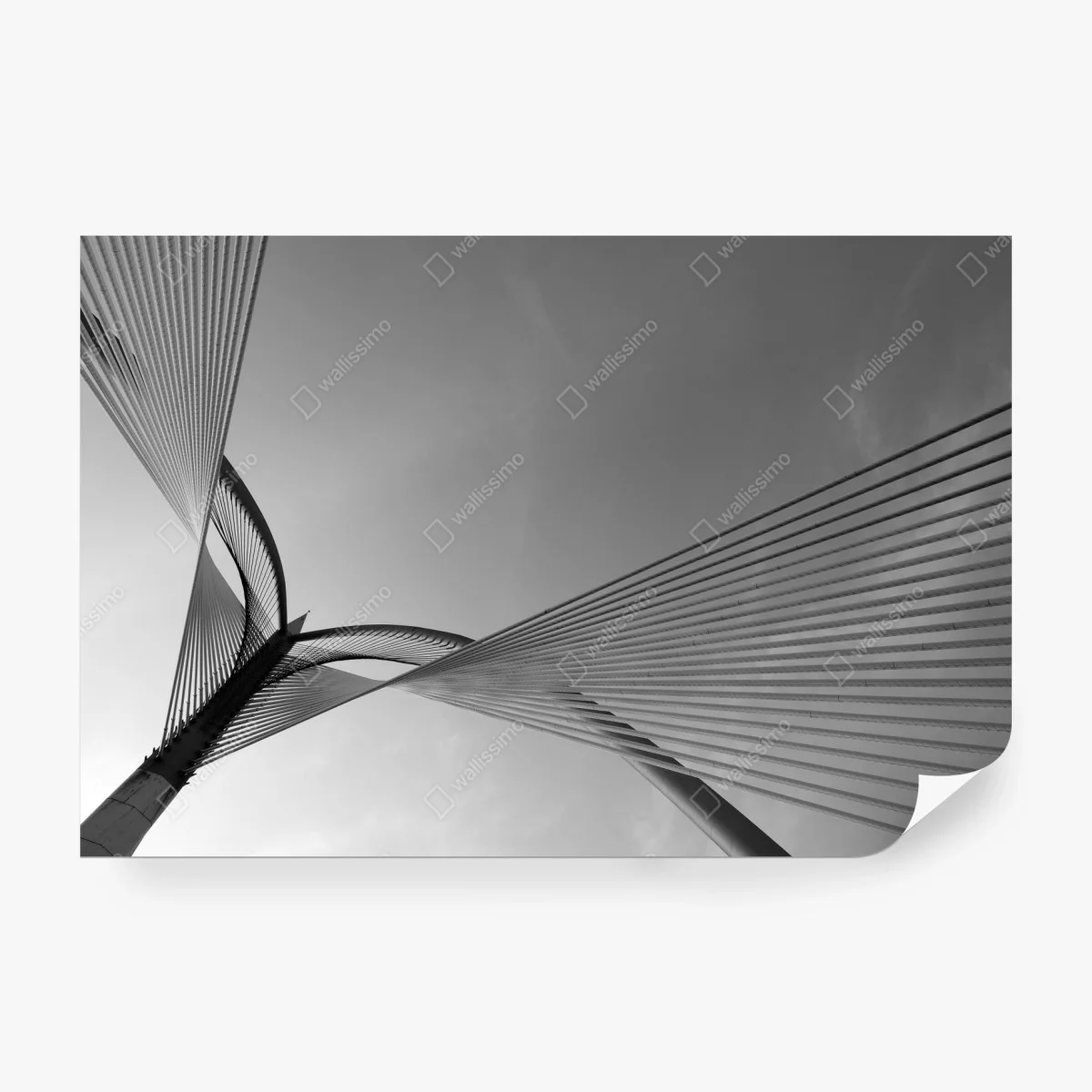 Wall mural monochrome cable bridge lines ⁕ Wallissimo®