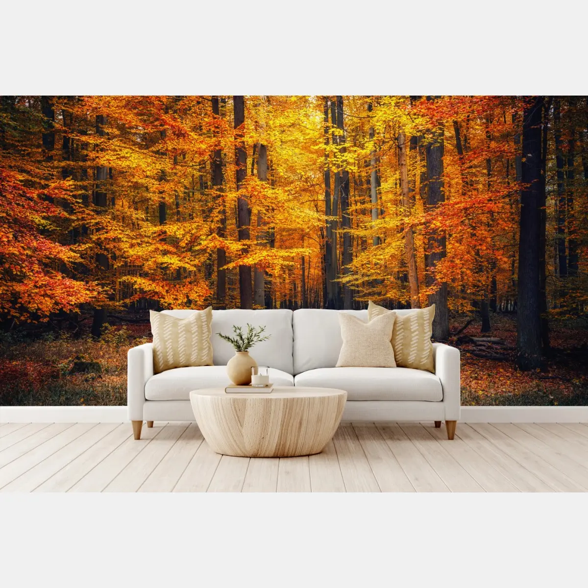 Wall mural autumn forest pathway with golden leaves • Wallissimo®