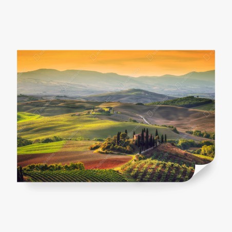 Wall mural Tuscany rolling hills at sunset • Wallissimo®