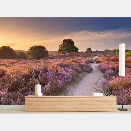 Wall mural Posbank sunrise heather path • Wallissimo®