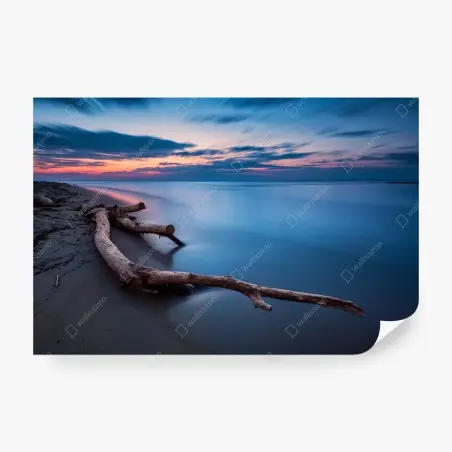Wall mural twilight driftwood on a calm beach • Wallissimo®