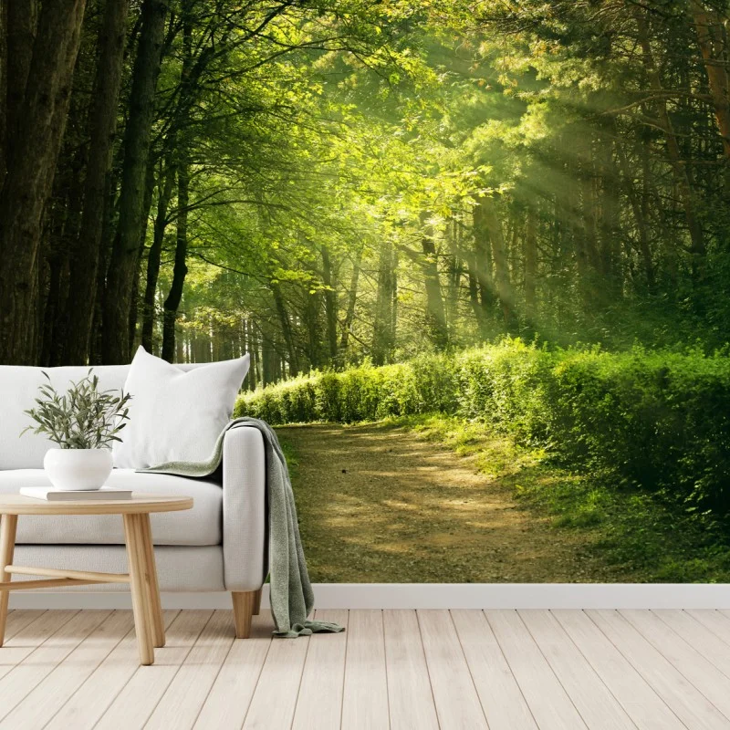 Wall mural sunlit forest path in green summer