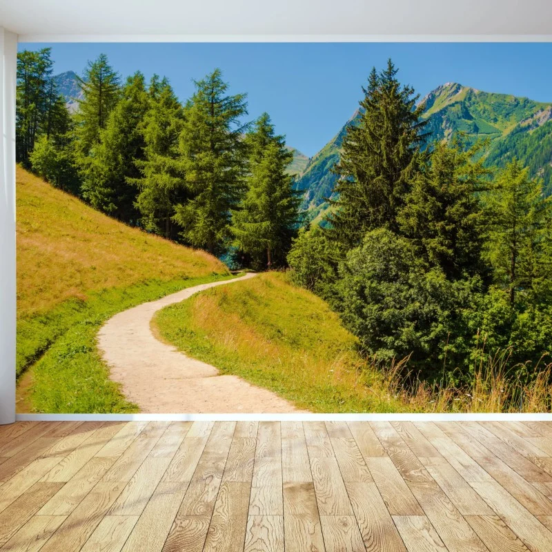 Wall mural Swiss Alps summer mountain trail