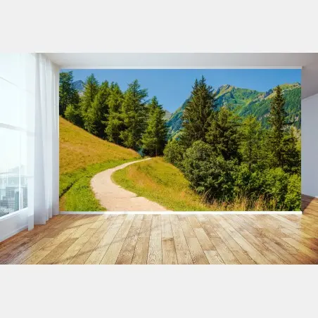 Wall mural Swiss Alps summer mountain trail • Wallissimo®
