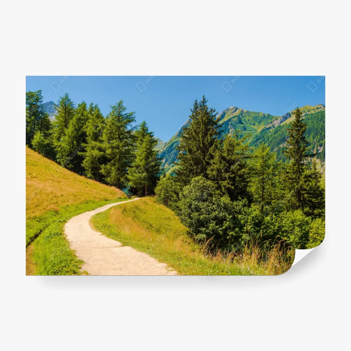 Wall mural Swiss Alps summer mountain trail • Wallissimo®