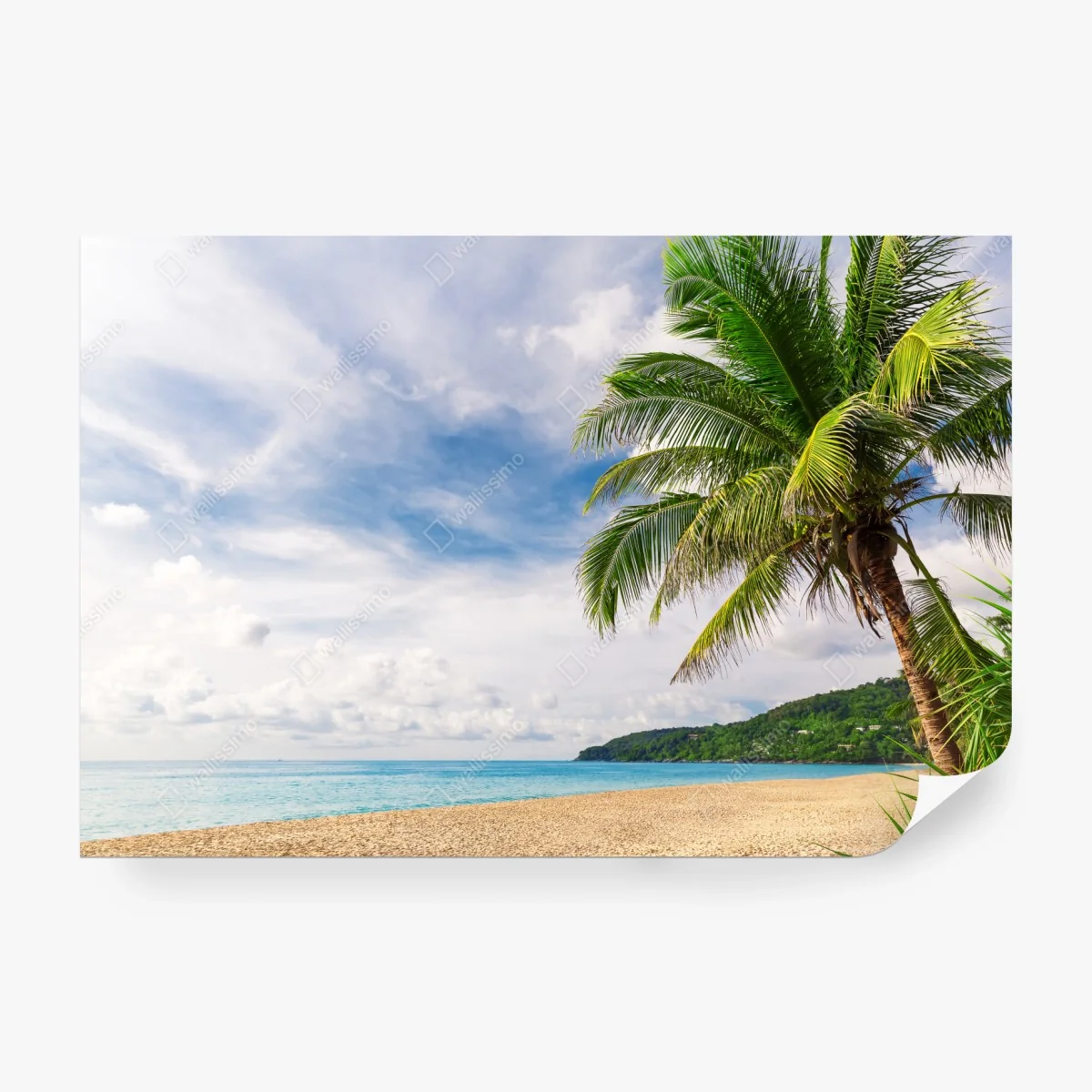 Wall mural tropical beach in Phuket with palm tree • Wallissimo®