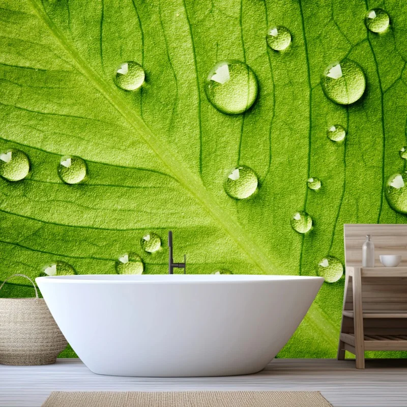 Wall mural fresh green leaf with water droplets